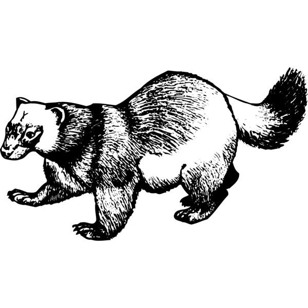 BADGER02 Thumbnail