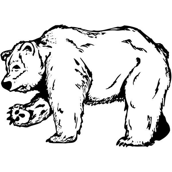 BEAR012 Thumbnail