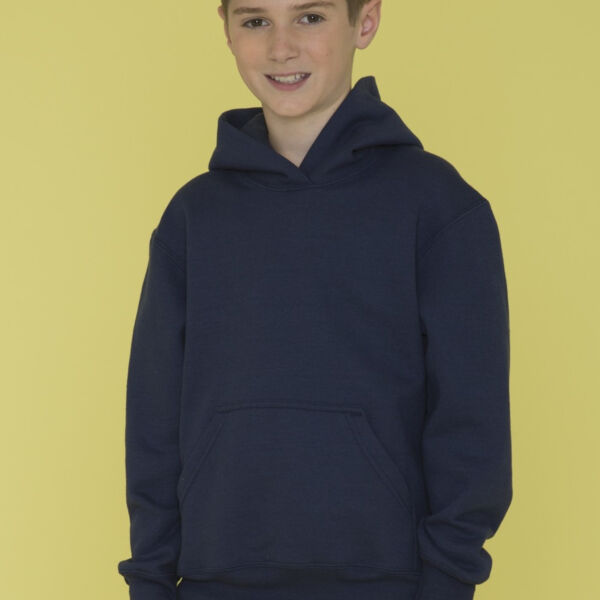 Youth Everyday Fleece Hoodie Thumbnail